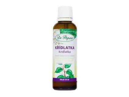 kridlatka 300x300