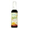 vyr 657 Akoupim cz Kouzelne vanoce 50ml