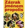 zazrak jmenem propolis2