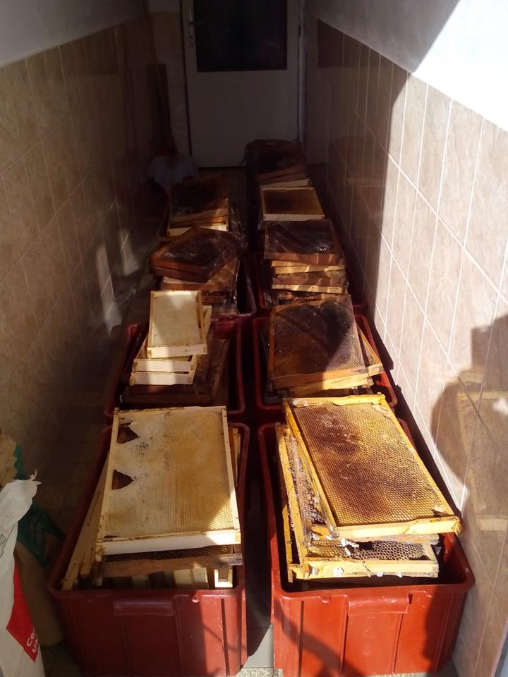 Žhavé novinky - zpracování voští