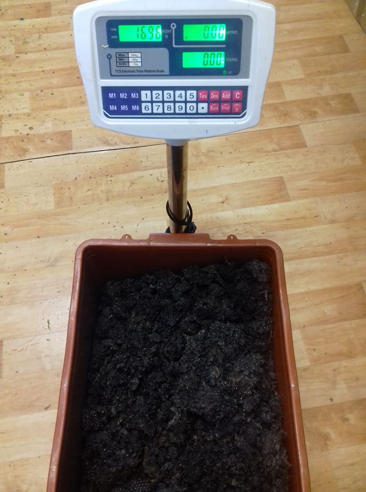 VÝTĚŽNOST VOSKU II.