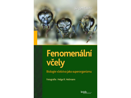 fenomenalni vcely biologie vcelstva jako superorganizmu