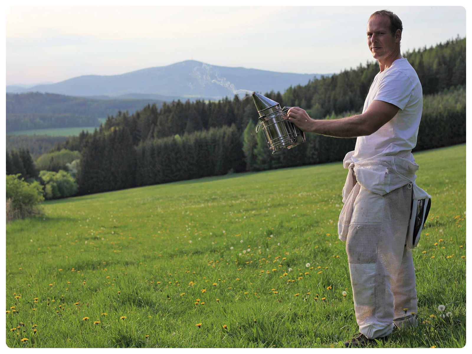 🐝 Náš příběh o včelaření