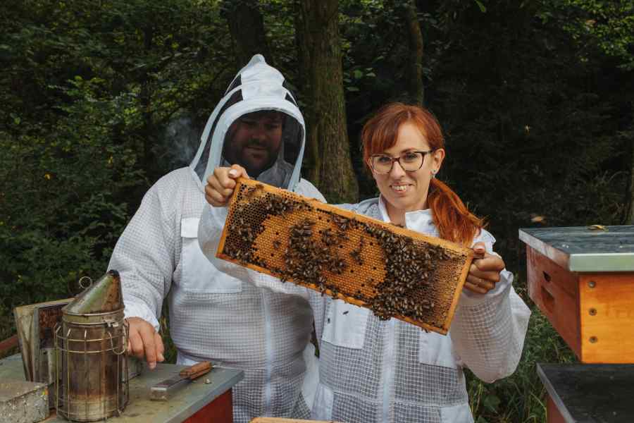 eMimino.cz, říjen 2024: rozhovor Včely byly nejdříve náš koníček…