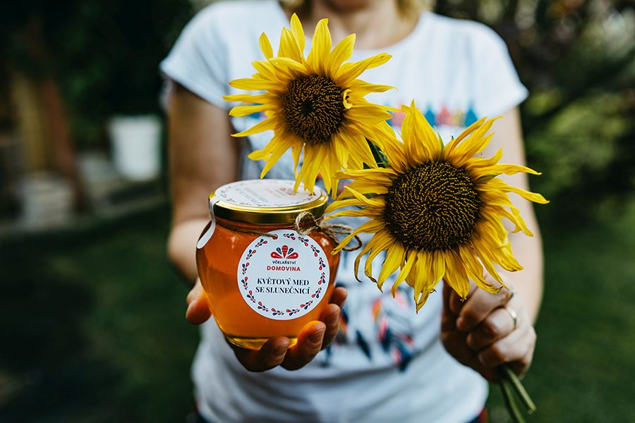 Slunečnice je žlutá, vysoká a točí se za sluncem. A med z ní chutná