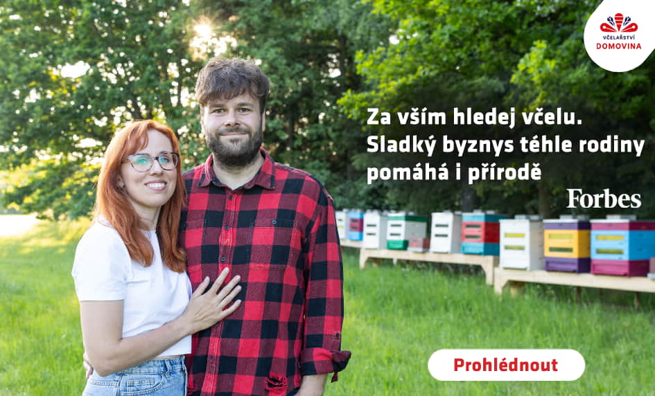 Forbes: za vším hledej včelu