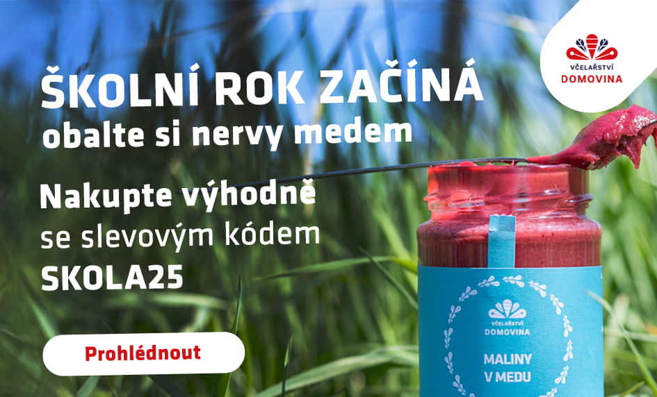 Škola 25