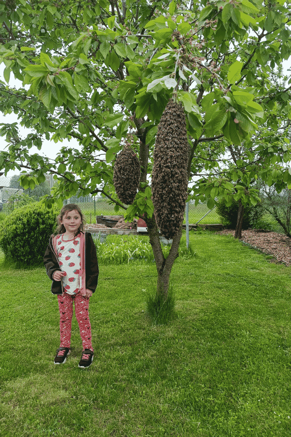 Náš příběh Včelařství Domovina - fotografie 15