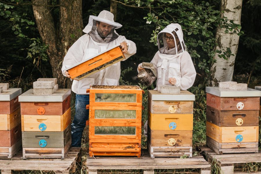 Na Radiožurnálu jsme představili naši farmu Včelařství Domovina