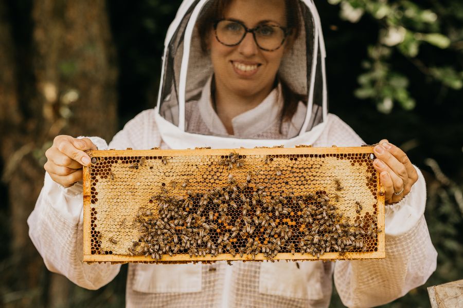 Ve Včelařství Domovina včely milujeme