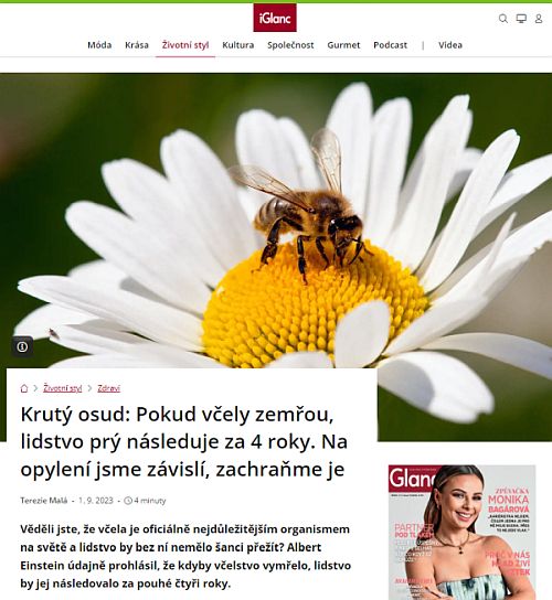 Webové stránky iGlanc.cz