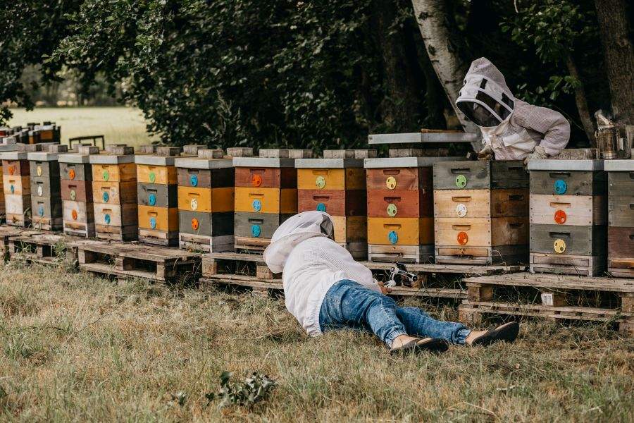 Med přímo od včelaře je nejlepší