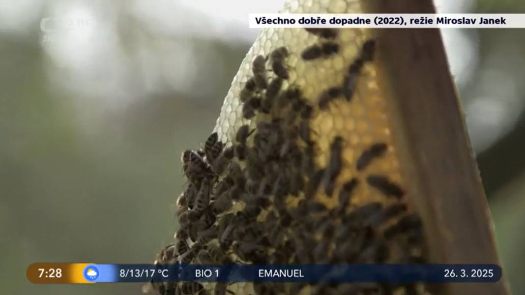 Ke spuštění videa v nové záložce klikněte