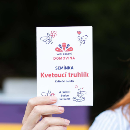 seminka kvetouci truhlik
