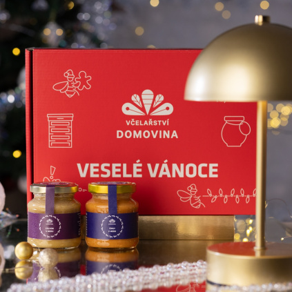 Nove Zpatky 2 Vanoce