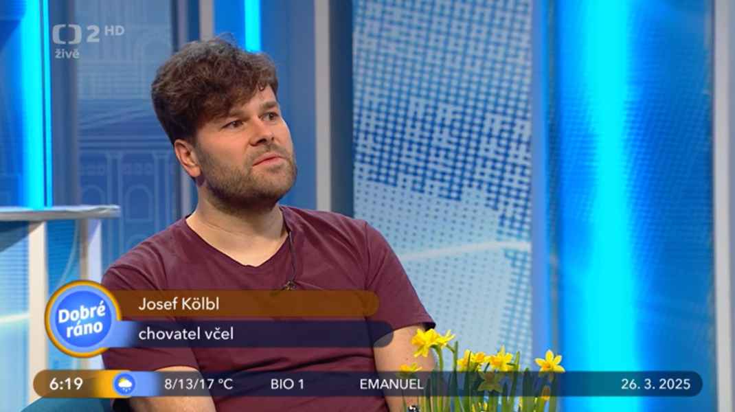 Dobré ráno v Českej televízii, marec 2025: Včely po zime