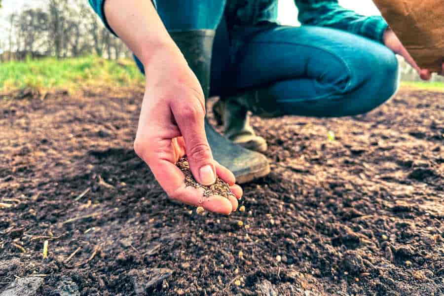 Marianne.cz, marec 2025: článok Včelári hlásia rekordné úhyny, mizne hmyz aj vtáci. Saďte…