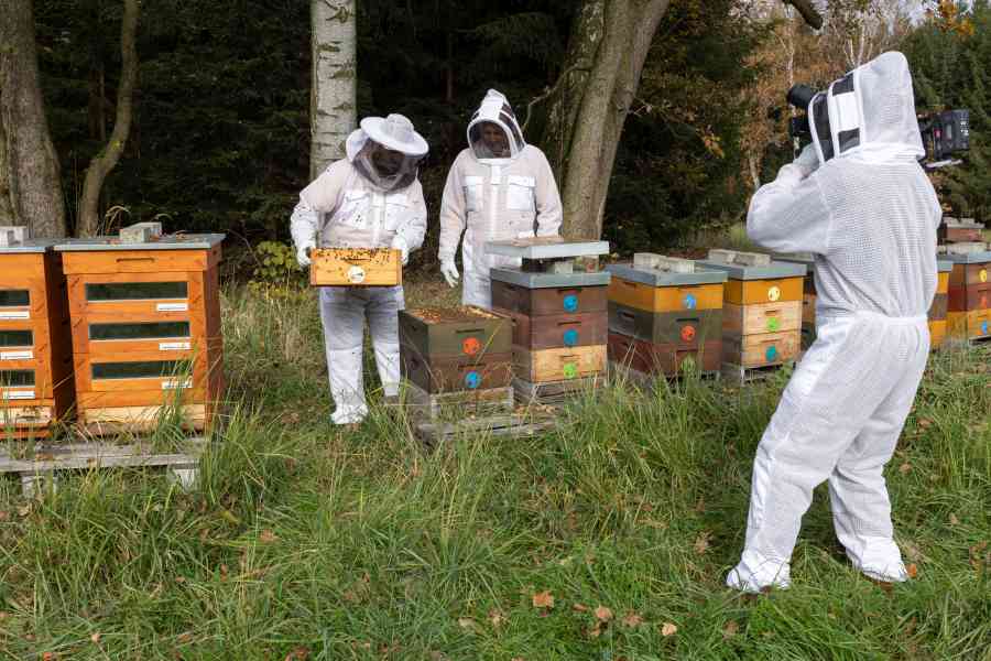 Rady ptáka Loskutáka na TV Nova, november 2024: Používame revolučnú…