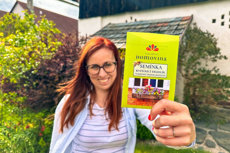 Sejeme lúčne kvety a chránime včely II. Návod na výsev do kvetináča