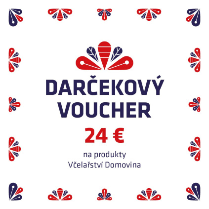 805 1 voucher 24 e