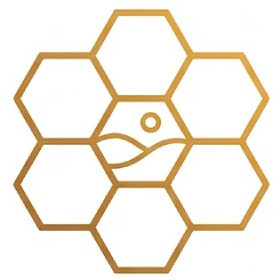 Med z jižní Moravy