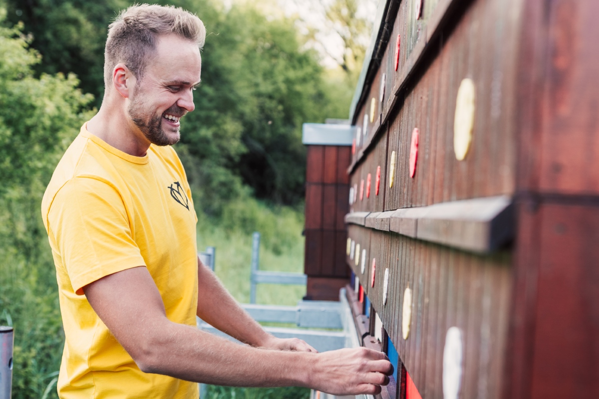 Kočování včelstev