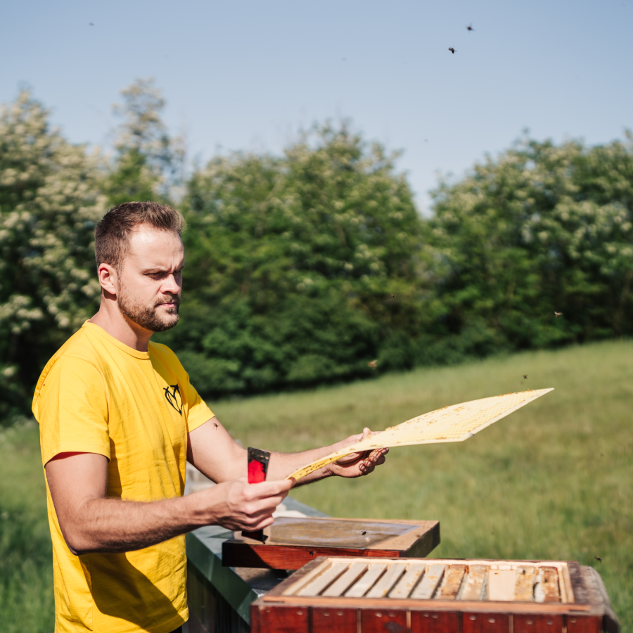 Kočování Vozdecký
