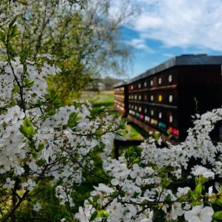 Vítej, jaro! 🌸 Omamné vůně ovocných stromů, rozkvetlá příroda a naše úly připravené na sezónu. Právě dokončujeme...
