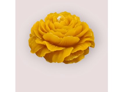 PHOTO 2024 11 25 17 07 57