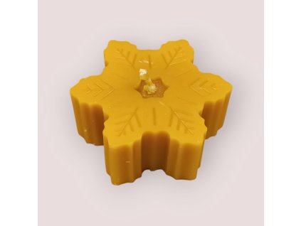 PHOTO 2024 11 25 17 26 52