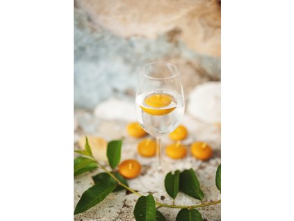 7D0B4B7A 51D6 4AA8 820D 72802E52D7F8