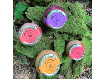 Květový pastovaný med s lyofilizovaným ovocem 400 g