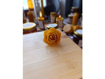 Svíčka květ růže