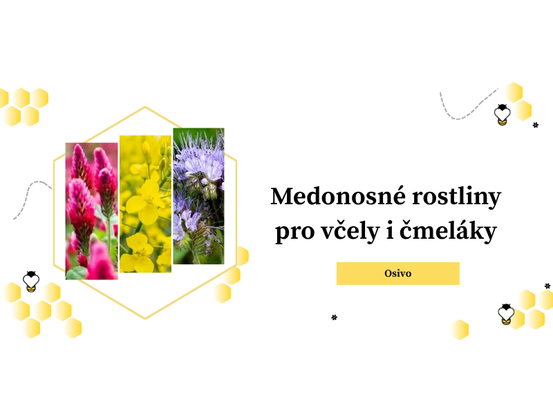 osivo pro včely a nektarodárné směsi pro včely a čmeláky