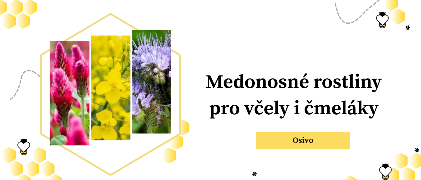 osivo pro včely a nektarodárné směsi pro včely a čmeláky