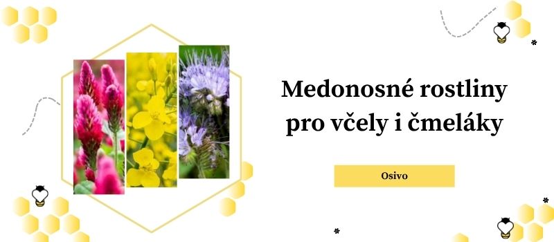osivo pro včely a nektarodárné směsi pro včely a čmeláky