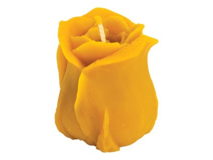 svíčka růže 6 cm