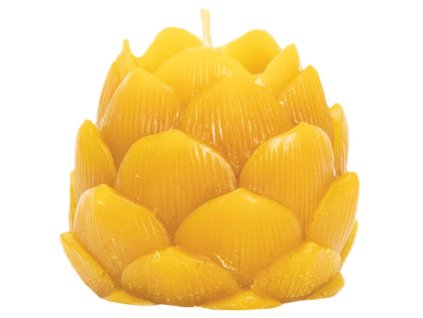 svíčka chmelová šiška