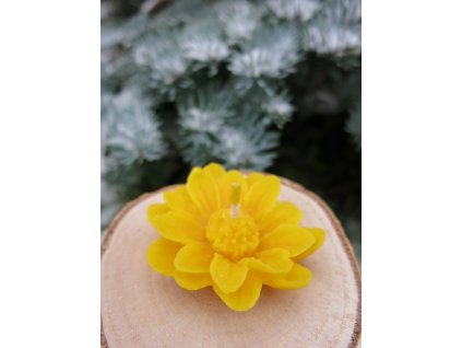 svicka ze vceliho vosku plovouci kyticka