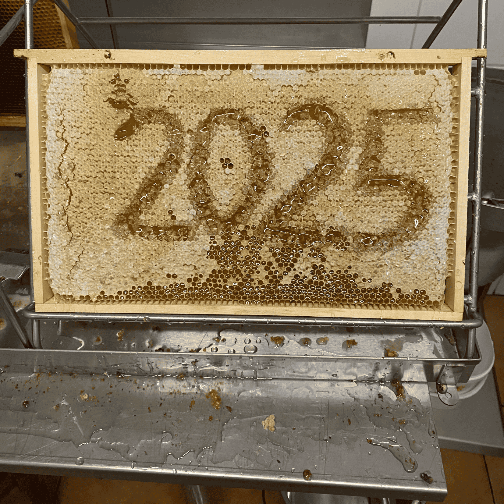 🐝 Čas medobraní vrcholí: Co se právě děje v našich úlech