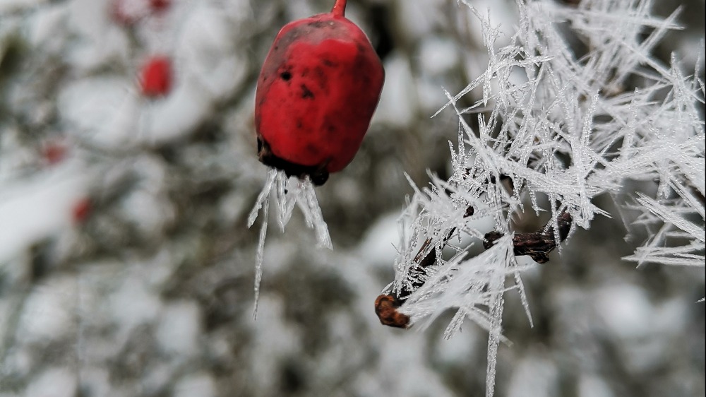 CO PŘINESE ROK 2019?