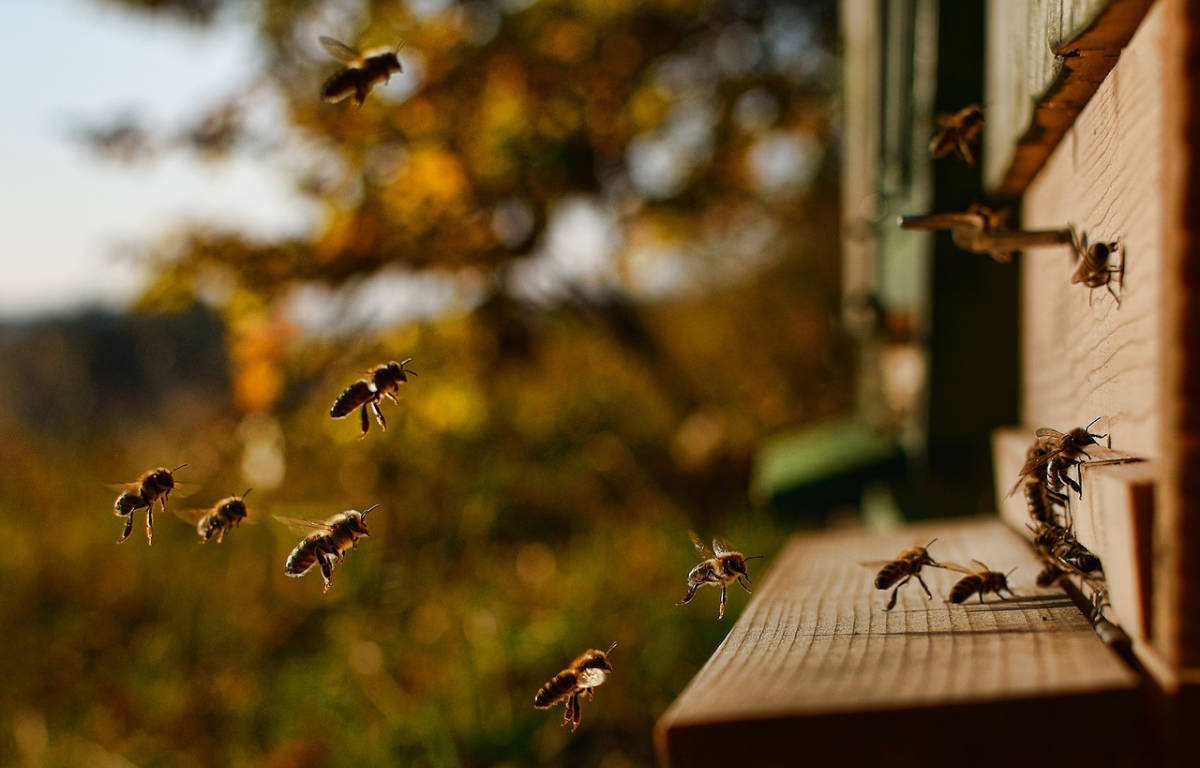 KONEC PŘÍPRAV, JARO