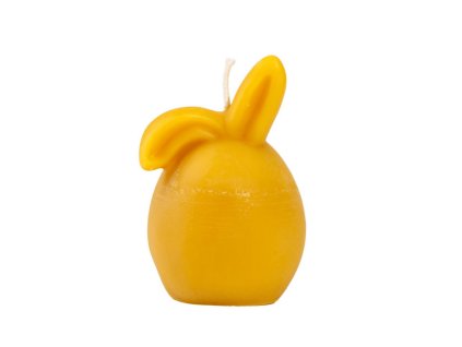 Návrh bez názvu (10)