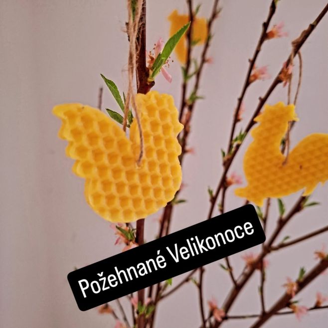 Krásné Velikonoce #krasnevelikonoce #happyeaster🐰 #froheoestern