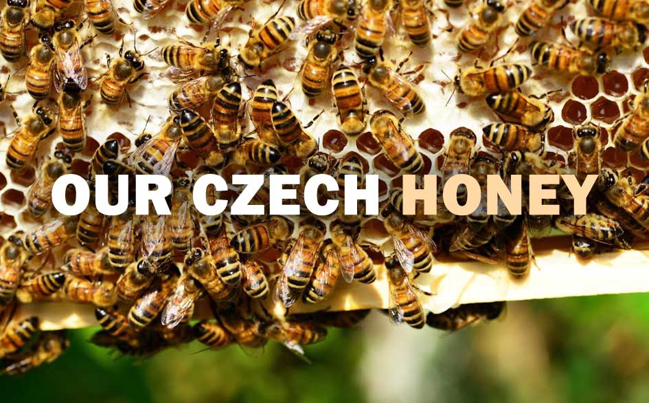 HONEY