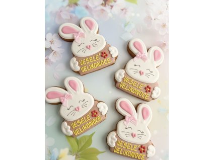 5D82A26D FB95 43D8 83B9 C3ADC12FEDD6 1 201 a