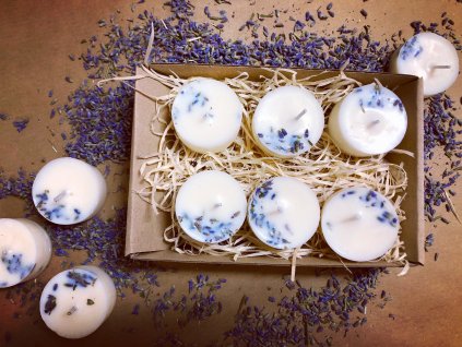 DEE78B30 914F 4182 832C 493DCD33088A