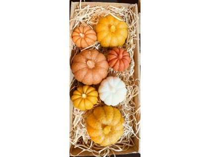 E08E4E69 765D 4D7F A683 3839D64B362F 1 105 c