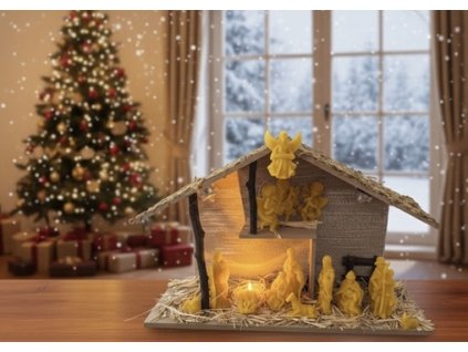 54C82282 B451 4C81 A9EE 80A212DE1A3D 4 5005 c