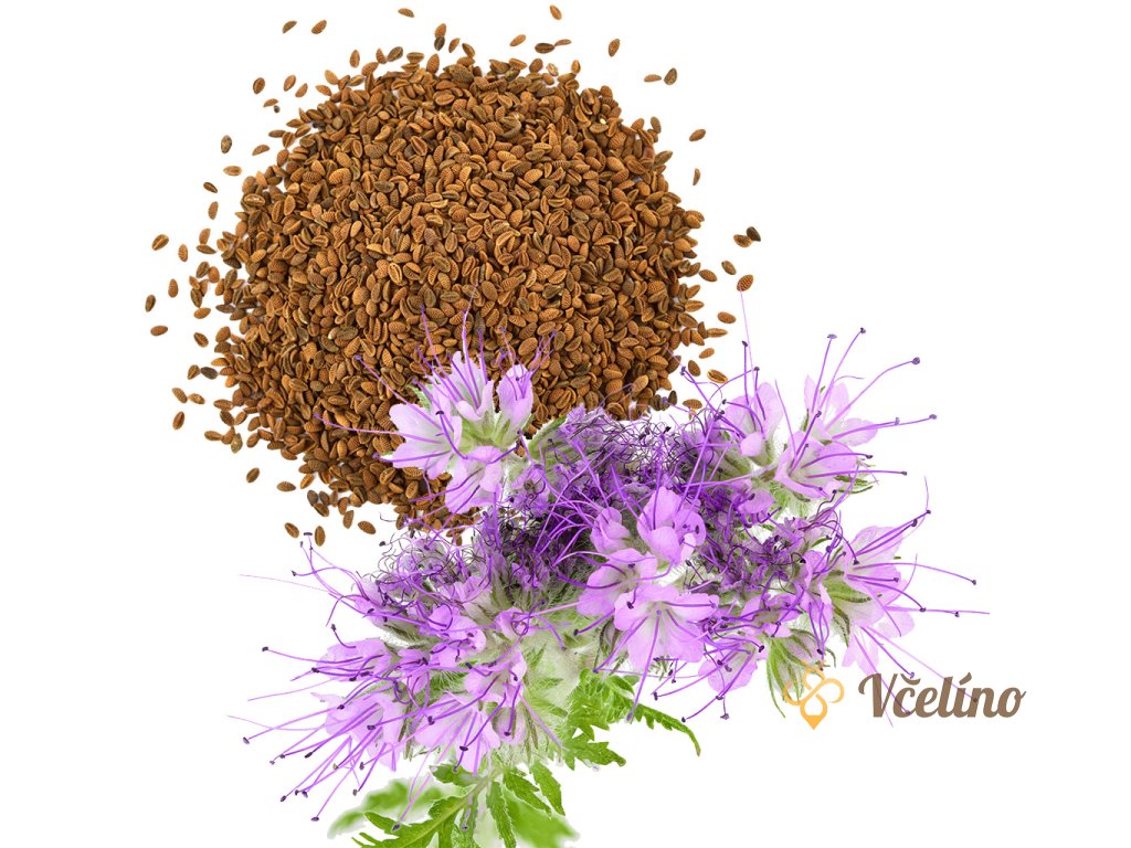 Svazenka vraticolista - 1 kg - B